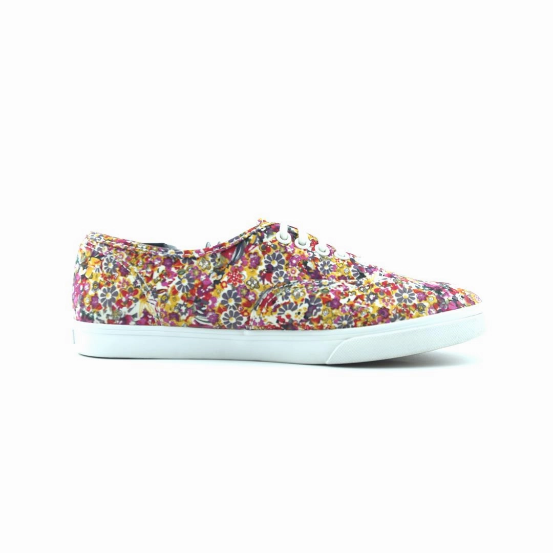 VANS AUTHENTIC Vans skate shoe imagery