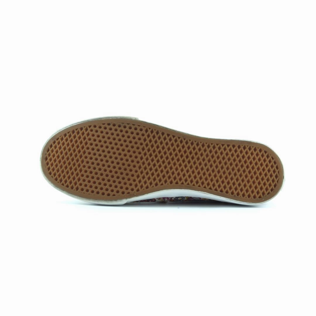 VANS AUTHENTIC Vans skate shoe imagery