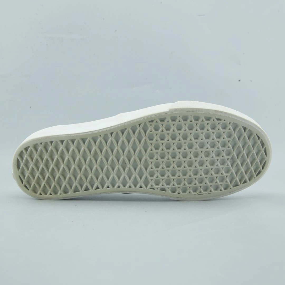 VANS AUTHENTIC Vans skate shoe imagery