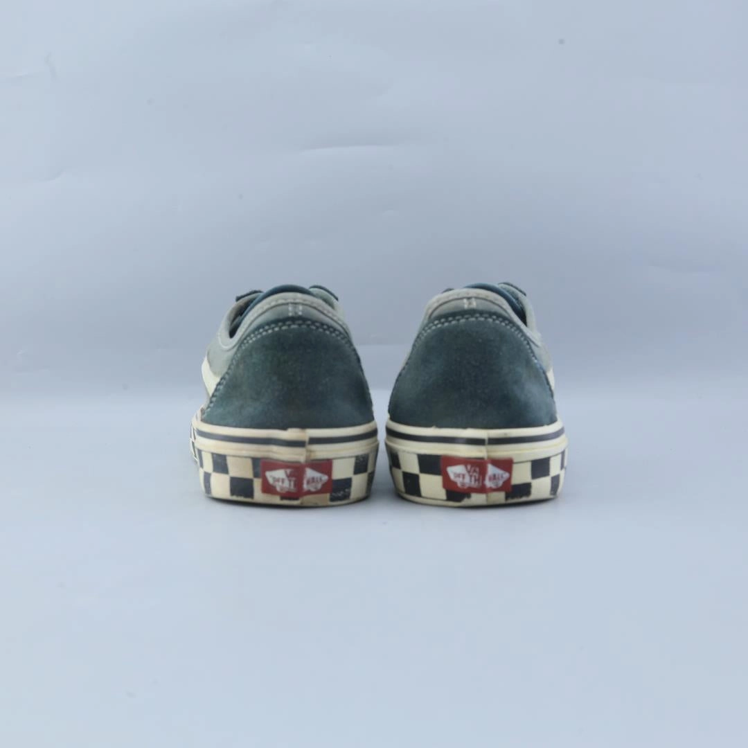VANS AUTHENTIC Vans skate shoe imagery