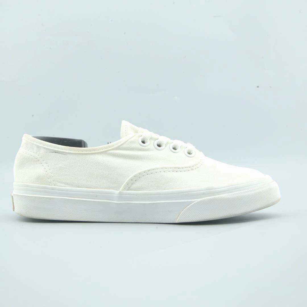 VANS AUTHENTIC Vans skate shoe imagery