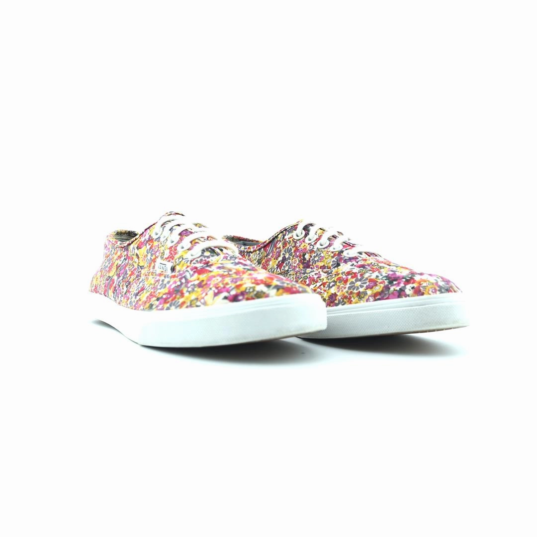 VANS AUTHENTIC Vans skate shoe imagery