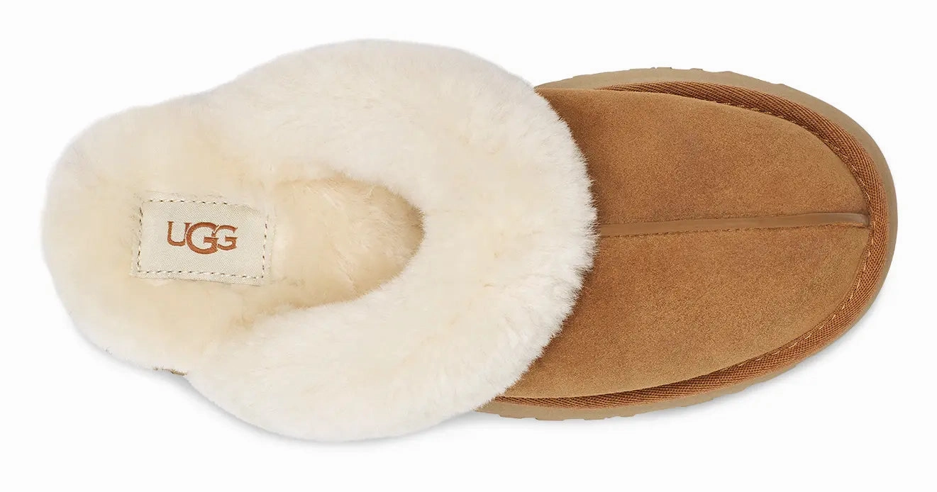 Womens UGG Disquette  A Cozy, Elevated Slipper for Everyday Comfort Ugg cozy footwear visuals