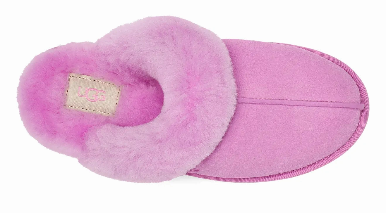 Womens UGG Scuffette II  The Ultimate Cozy House Slipper Ugg cozy footwear visuals