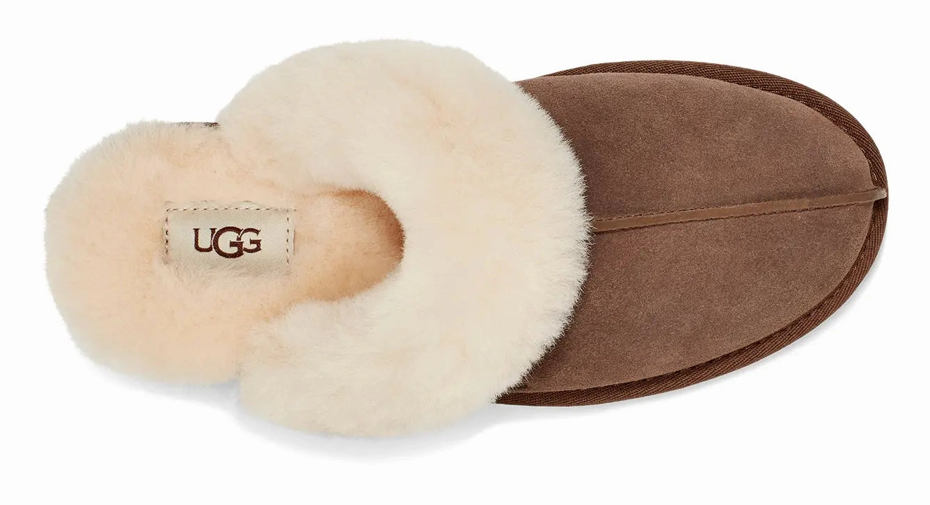 Womens UGG Scuffette II  The Ultimate Cozy House Slipper Ugg cozy footwear visuals