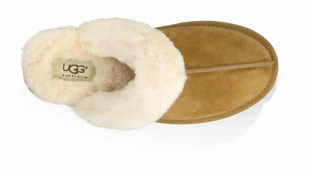 Womens UGG Scuffette II  The Ultimate Cozy House Slipper Ugg cozy footwear visuals
