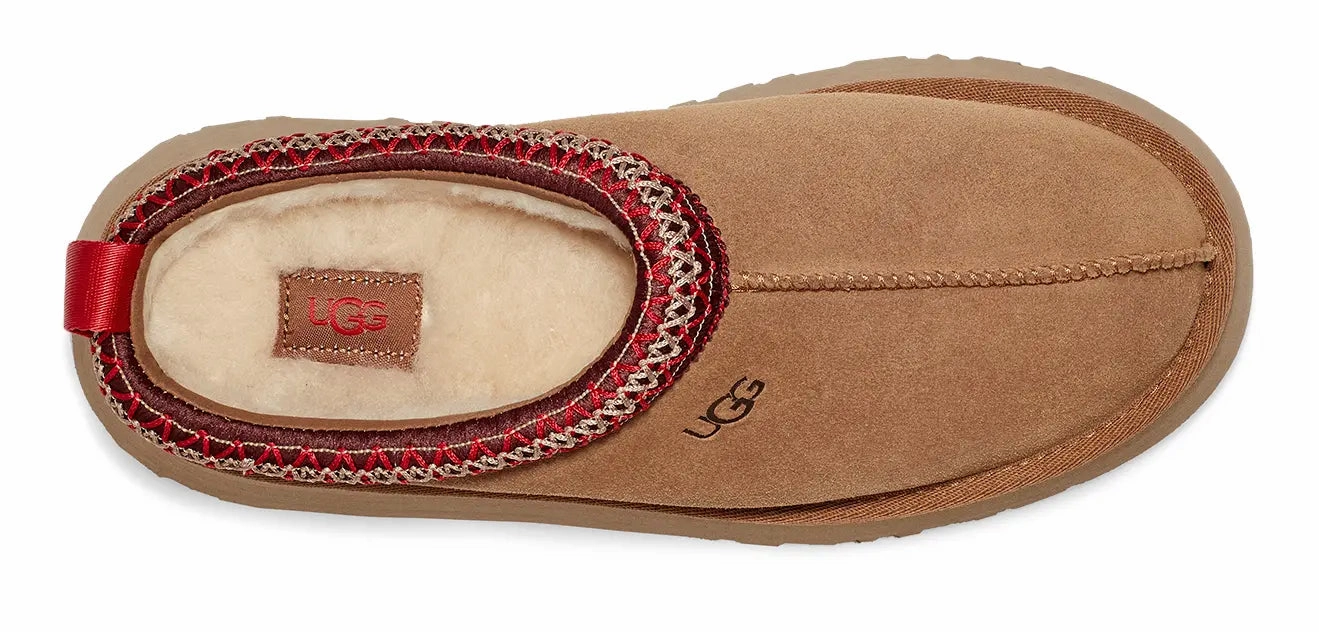 Womens UGG Tazz  Cozy Platform Slipper with Stylish Lift Ugg cozy footwear visuals